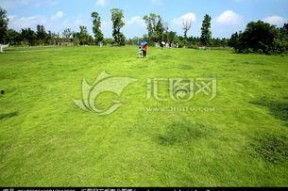 青青青草国产免费观看